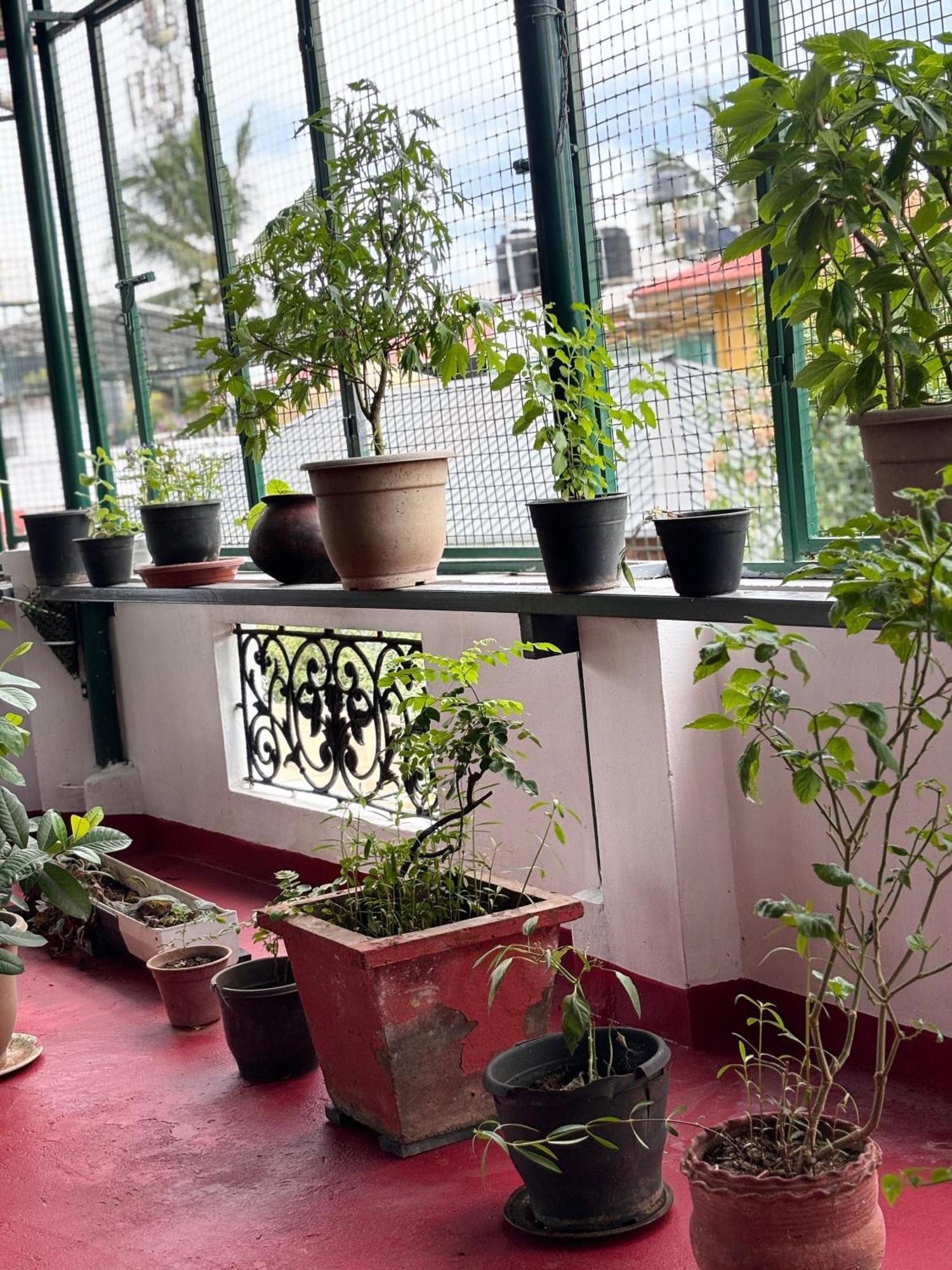 Beza Homestay Kochi Buitenkant foto